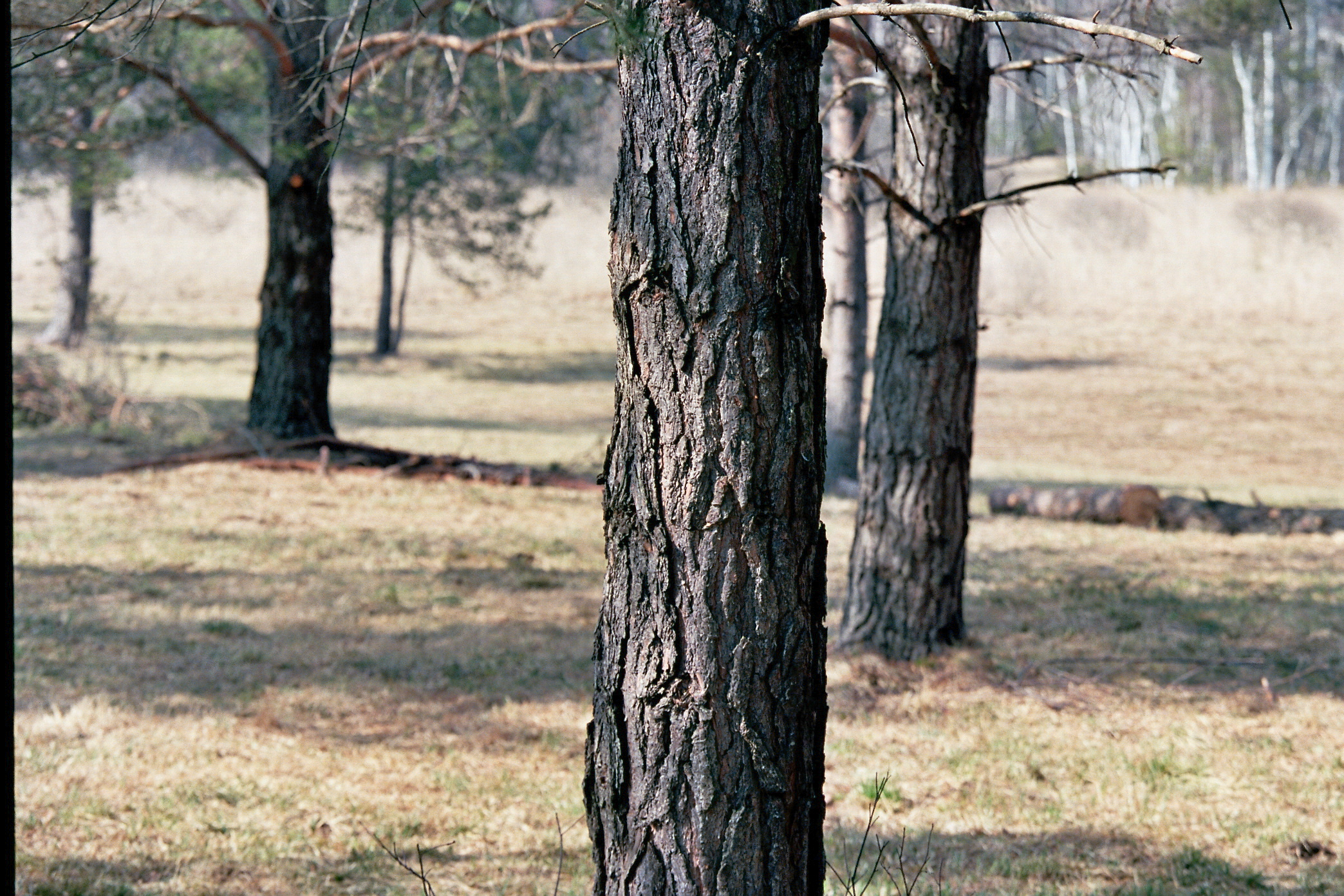 Bild015_Neg.Nr.16